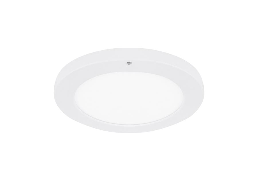 Zdjęcie: PLAFONIERA Z CZUJNIKIEM RUCHU OLGIERD LED C MVS 24W WHITE CCT