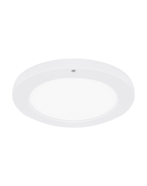 Zdjęcie: PLAFONIERA Z CZUJNIKIEM RUCHU OLGIERD LED C MVS 24W WHITE CCT