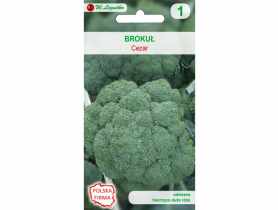 Brokuł wczesny Cezar 2 g. W.LEGUTKO