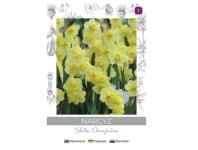 Zdjęcie: Narcyz Yellow Cheerfulness żółty 3 sztuki W.LEGUTKO