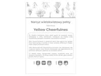 Zdjęcie: Narcyz Yellow Cheerfulness żółty 3 sztuki W.LEGUTKO