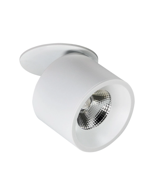 Zdjęcie: Oczko przegubowe podtynkowe Haron 15 W białe POLUX