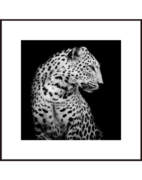 Zdjęcie: Obraz Artbox 50x50 cm Leopard STYLER