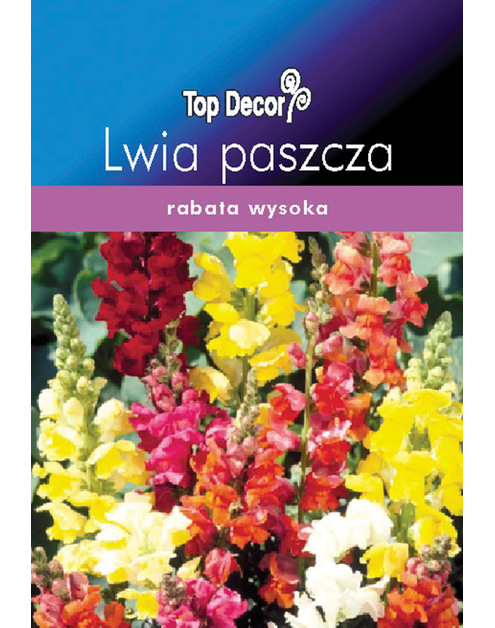 Zdjęcie: Lwia paszcza TOP DECOR