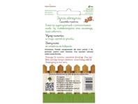 Zdjęcie: Dynia olbrzymia Amazonka 2 g W.LEGUTKO