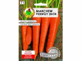 Marchew jadalna Pierwszy Zbiór 6 m taśma PNOS