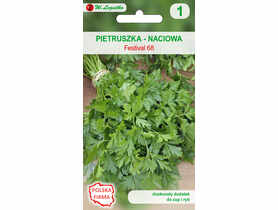 Pietruszka naciowa Festival 68 nasiona tradycyjne 5 g W. LEGUTKO