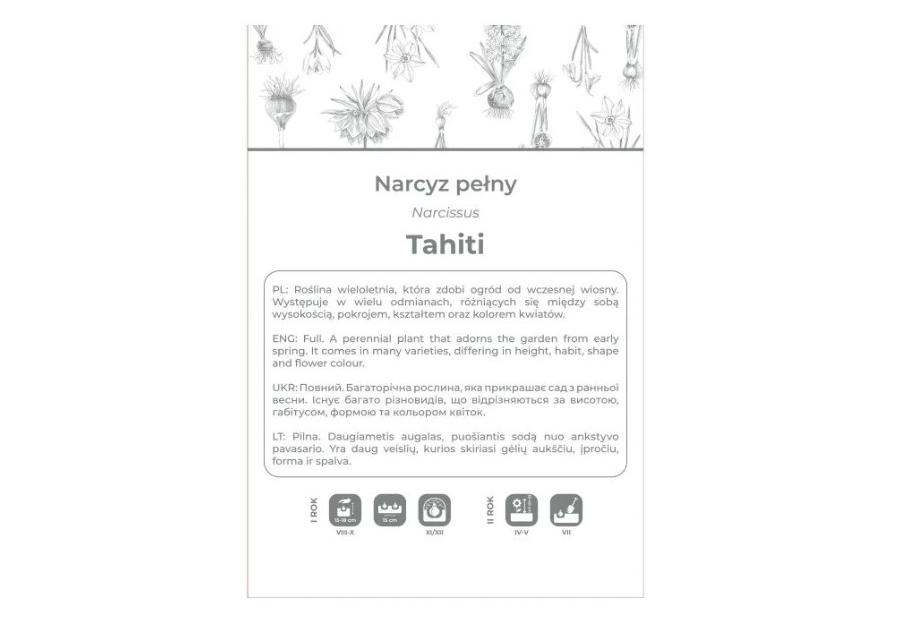 Zdjęcie: Narcyz Tahiti żółty z czerwonym środkiem 3 sztuki W.LEGUTKO