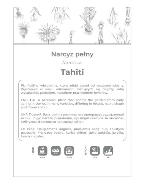 Zdjęcie: Narcyz Tahiti żółty z czerwonym środkiem 3 sztuki W.LEGUTKO