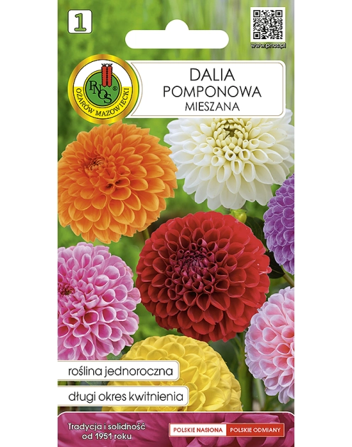 Zdjęcie: Dalia pomponowa mieszana 0,3 g PNOS