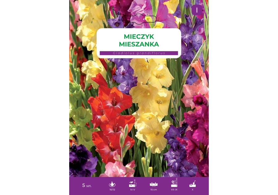 Zdjęcie: Mieczyk mieszanka kolorów LEGUTKO
