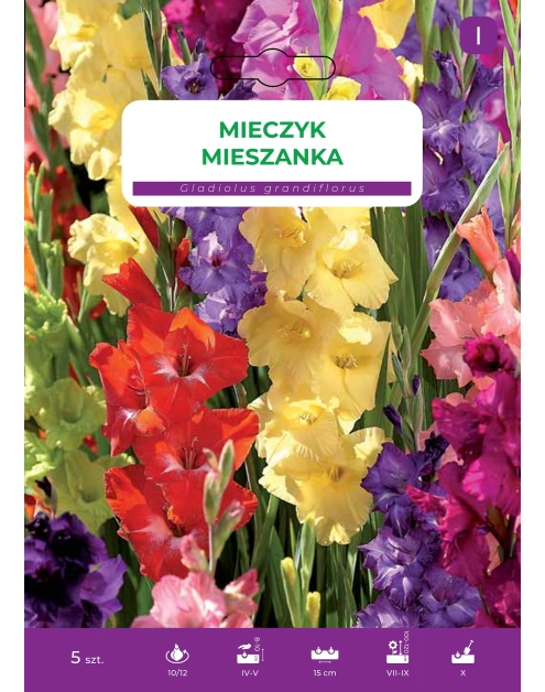 Zdjęcie: Mieczyk mieszanka kolorów LEGUTKO