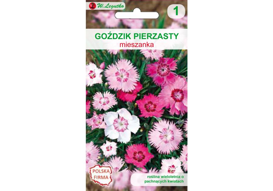 Zdjęcie: Goździk pierzasty mieszanka 0,3 g W.LEGUTKO