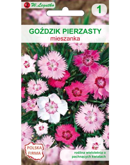 Zdjęcie: Goździk pierzasty mieszanka 0,3 g W.LEGUTKO