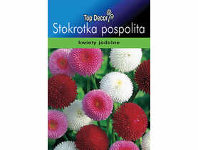 Stokrotka TOP DECOR