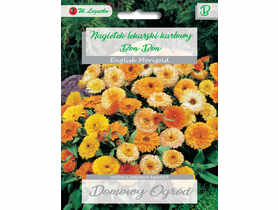 Nagietek lekarski mieszanka W.LEGUTKO