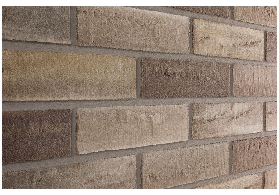 Zdjęcie: ELABRICK LIMBURG 50X210