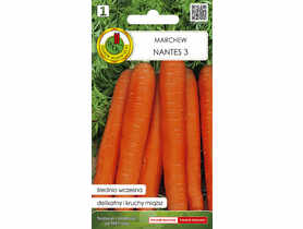 Marchew jadalna Nantes 3, 2 g PNOS