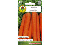 Zdjęcie: Marchew jadalna Nantes 3, 2 g PNOS