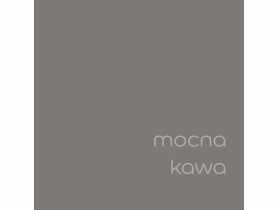 Tester farby EasyCare 0,03 L mocna kawa DULUX