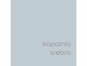 Tester farby EasyCare 0,03 L kopalnia srebra DULUX