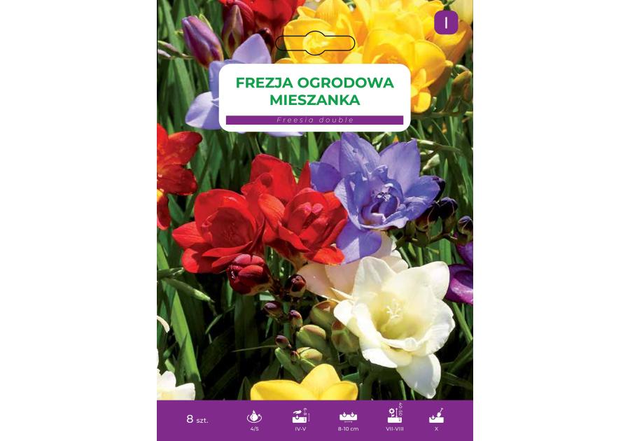 Zdjęcie: Frezja ogrodowa mieszanka LEGUTKO