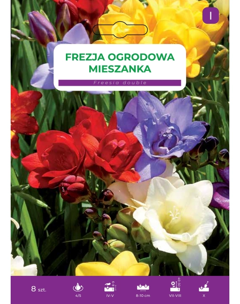 Zdjęcie: Frezja ogrodowa mieszanka LEGUTKO