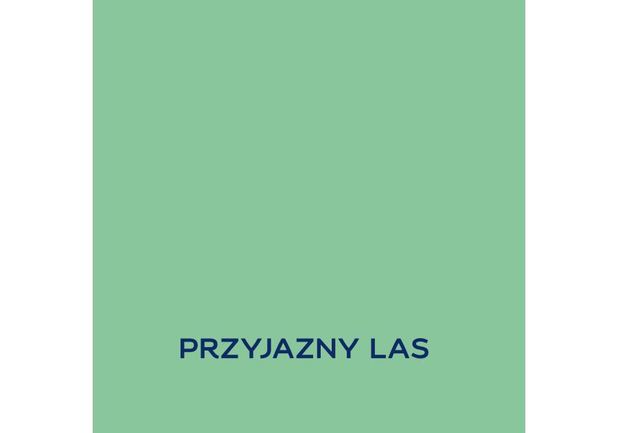Zdjęcie: Farba lateksowa 1 L przyjazny las matowa EASYCARE DISNEY