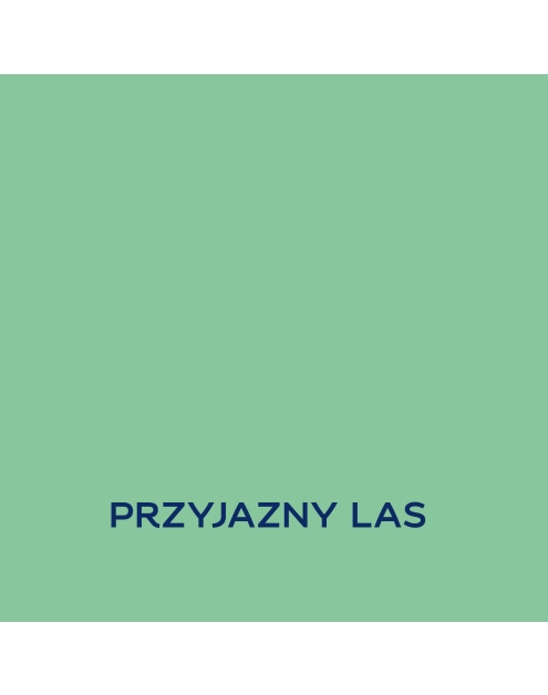 Zdjęcie: Farba lateksowa 1 L przyjazny las matowa EASYCARE DISNEY
