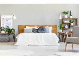 Farba lateksowa Moc Koloru lekko szary 5 L DEKORAL