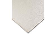 Zdjęcie: Płyta sufitowa Retail Board 1200x600x12 ARMSTRONG