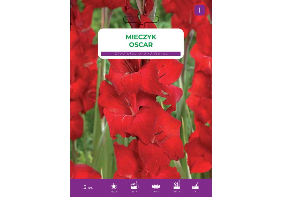 Zdjęcie: Mieczyk Red LEGUTKO