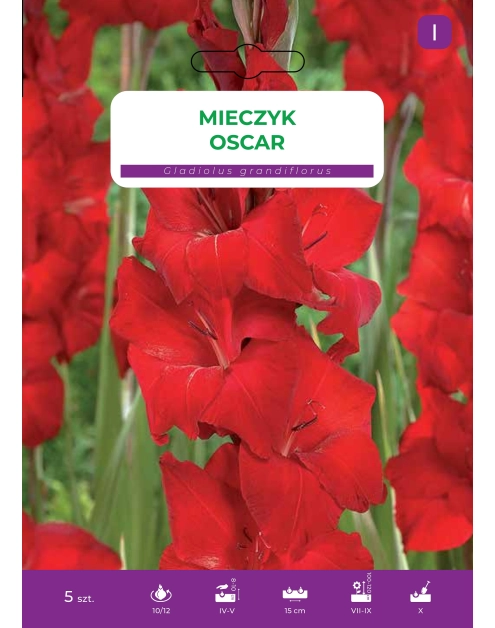 Zdjęcie: Mieczyk Red LEGUTKO