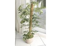 Zdjęcie: Tyczka kokosowa Stake Coco fi45 mm x 0,6 m, naturalny NORTENE
