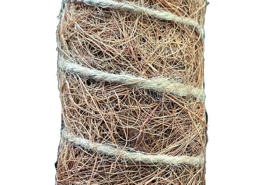 Zdjęcie: Tyczka kokosowa Stake Coco fi45 mm x 0,6 m, naturalny NORTENE