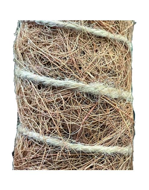 Zdjęcie: Tyczka kokosowa Stake Coco fi45 mm x 0,6 m, naturalny NORTENE
