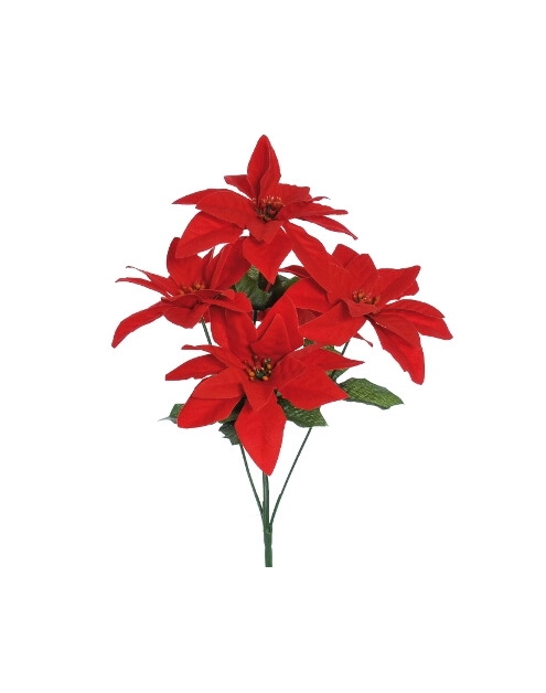 Zdjęcie: Gwiazda betlejemska bukiet 5 kwiatów JUMI