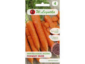 Marchew jadalna Pierwszy Zbiór pomarańczowa 5 g W.LEGUTKO