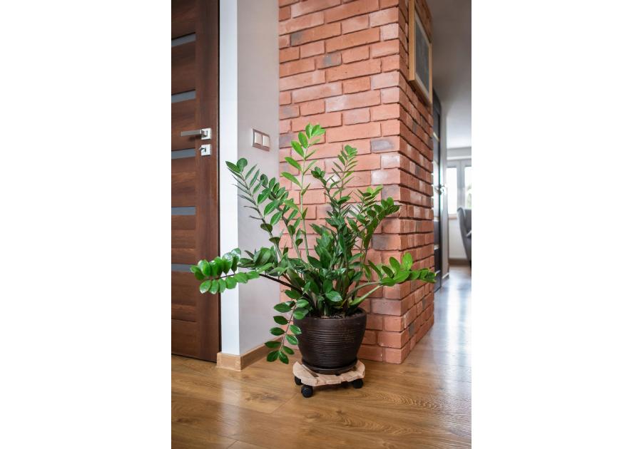 Zdjęcie: Podest okrągły 30 cm KABEX