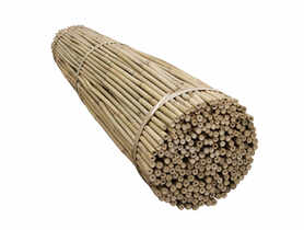 Tyczki bambusowe 150 cm TIN TOURS