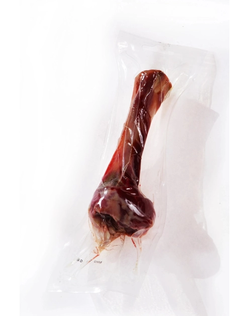 Zdjęcie: Kość dla psa z szynki parmeńskiej M 18 cm ZOLUX