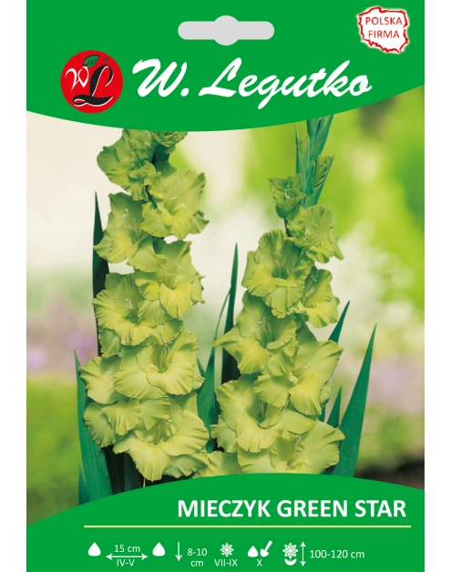 Zdjęcie: Mieczyk Green Star seria tradycyjna W.LEGUTKO