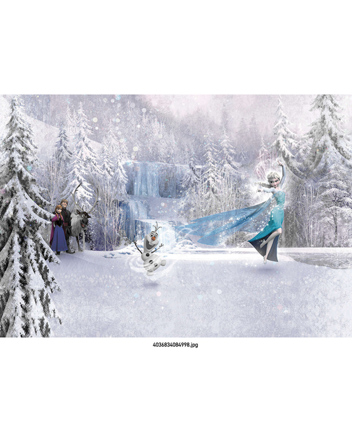 Zdjęcie: Fototapeta Frozen Forest VENA