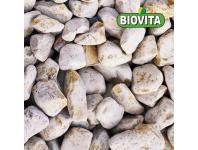 Zdjęcie: Otoczak Giallo mori 40-60 mm - 20 kg BIOVITA