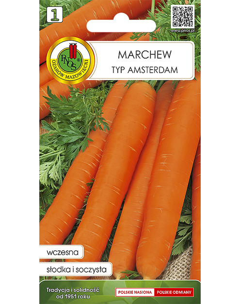 Zdjęcie: Marchew jadalna Amsterdam 2, 2 g PNOS