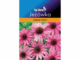 Rudbekia Jeżówka TOP DECOR