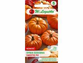 Dynia zwyczajna ozdobna Sweetie Pie pomarańczowa W. LEGUTKO