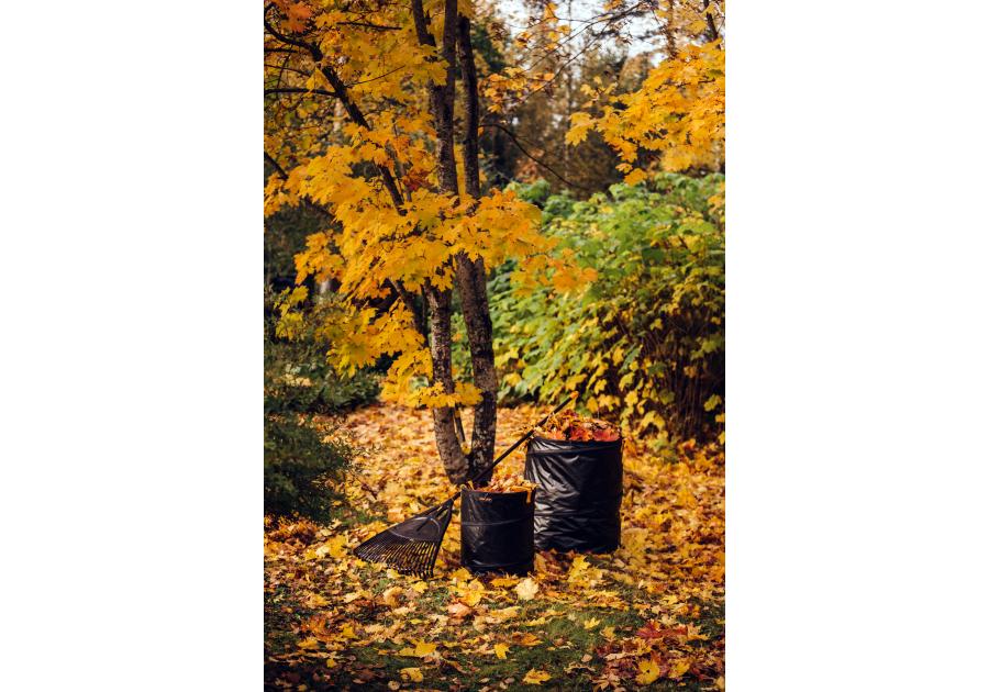 Zdjęcie: Kosz 172 L Solid PopUp FISKARS