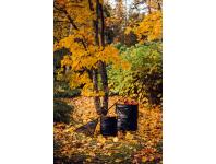 Zdjęcie: Kosz 172 L Solid PopUp FISKARS