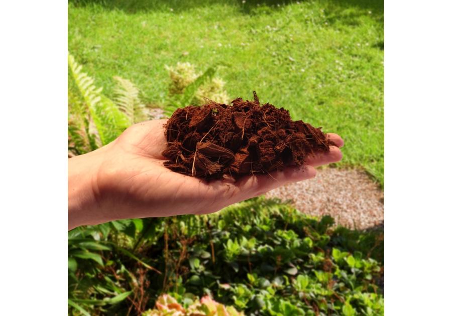Zdjęcie: Czipsy kokosowe COCO chips 20L BIOVITA